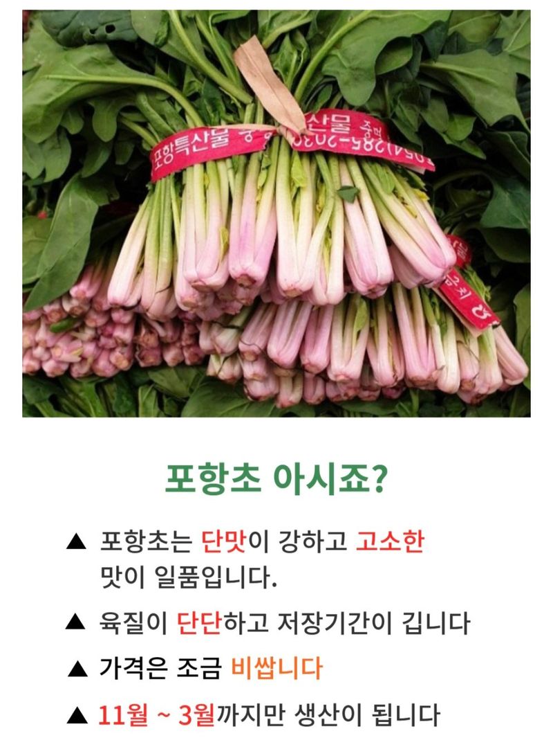 농수사님의 장터 판매 상품 [제철 해풍 시금치 포항초 400g 1단] 첨부 사진
