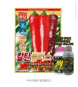 팜모닝 · 게시글 이미지