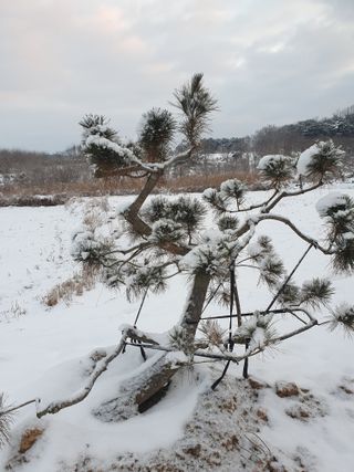 알 수 없음님의 자유주제 · 사진전 작성글 사진