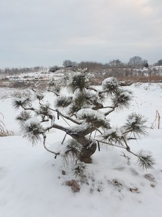 알 수 없음님의 자유주제 · 사진전 작성글 사진