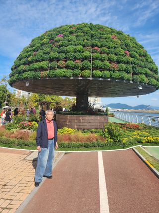 徐東浩님의 팜모닝 신년운세 공유해요☀️ · 참여글 작성글 사진