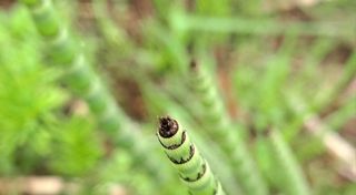 이정운님의 작성글 사진