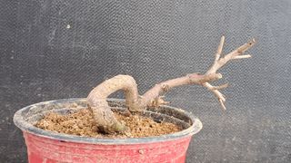 이정운님의 자유주제 · 자유게시판 작성글 사진