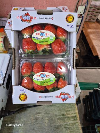 안성화님의 자유주제 · 자유게시판 작성글 사진