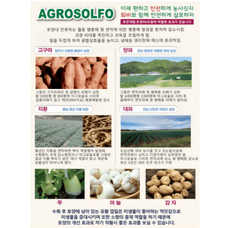 대산농사대장님의 작성글 사진