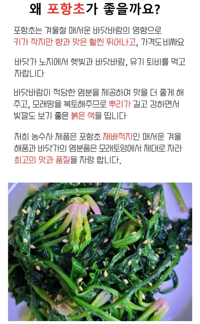 농수사님의 장터 판매 상품 [제철 해풍 시금치 포항초 400g 1단] 첨부 사진