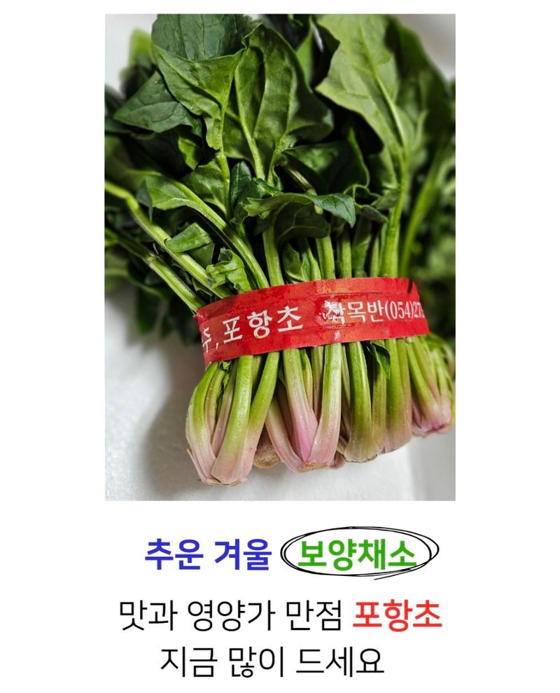 농수사님의 장터 판매 상품 [제철 해풍 시금치 포항초 400g 1단] 첨부 사진