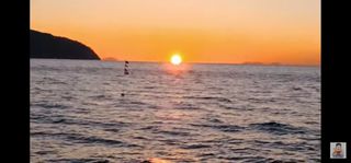 이태용님의 2025년 새해 일출 보셨나요? · 참여글 작성글 사진