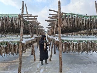 황인근님의 작성글 사진