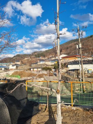 김용대님의 자유주제 · 자유게시판 작성글 사진