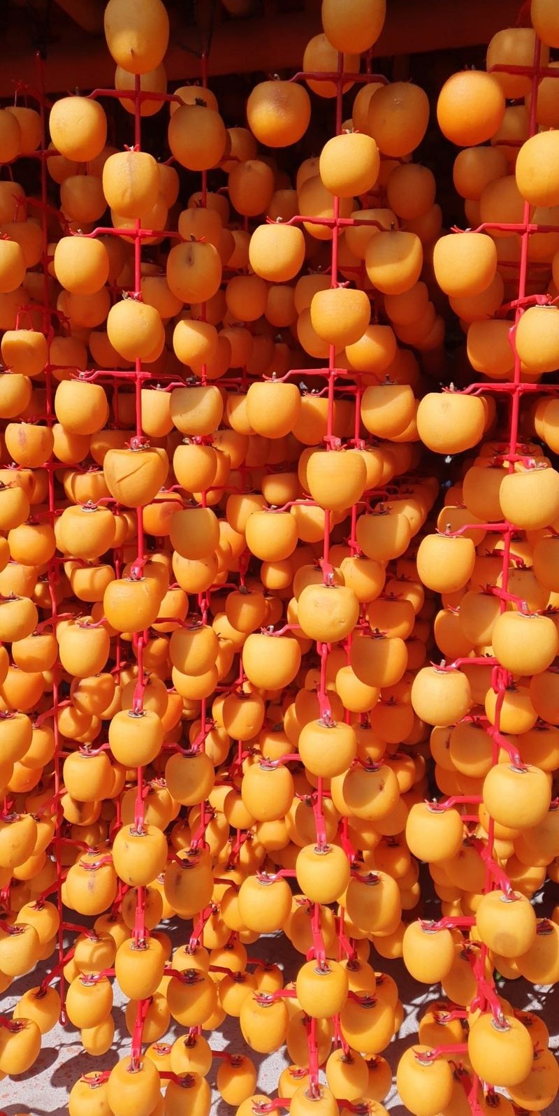 임병로님의 장터 판매 상품 [선물용 상주곶감 할인판매 33,600(택포)] 첨부 사진