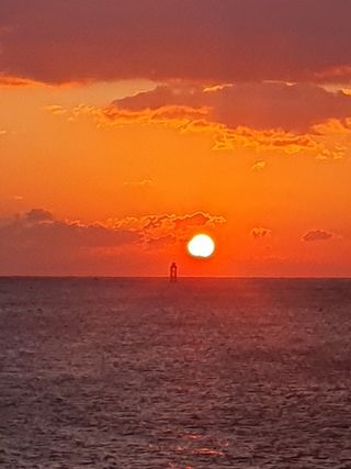 김옥자님의 2025년 새해 일출 보셨나요? · 참여글 작성글 사진