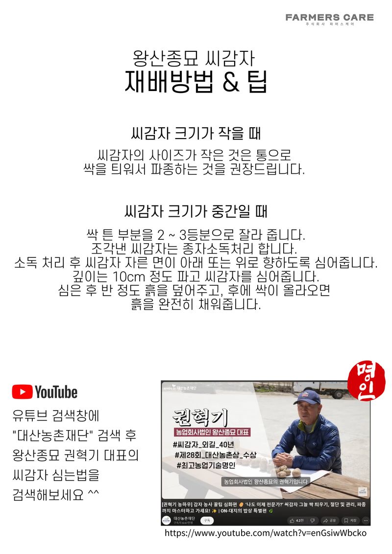신탄진농약비료마트님의 장터 판매 상품 [[강원도 왕산종묘] 홍감자 씨감자 3kg] 첨부 사진