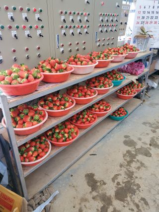 서정훈 님의 자유주제 · 자유게시판 작성글 사진