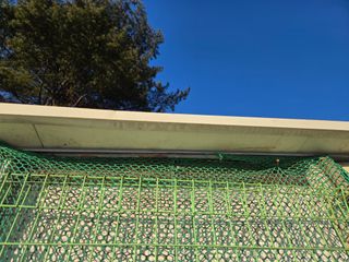 강원사랑인님의 자유주제 · 자유게시판 작성글 사진