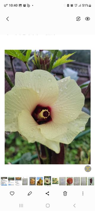 정찬영님의 작성글 사진