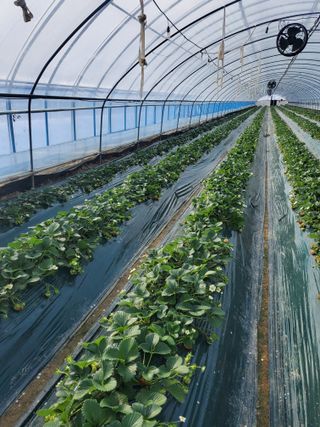 서정훈 님의 자유주제 · 자유게시판 작성글 사진