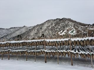 황인근님의 작성글 사진