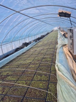 병풍취산채농원님의 자유주제 · 자유게시판 작성글 사진