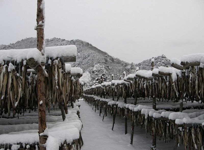 황인근님의 장터 판매 상품 [용대리 황태 선물세트 명작1호] 첨부 사진
