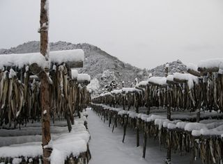 황인근님의 작성글 사진