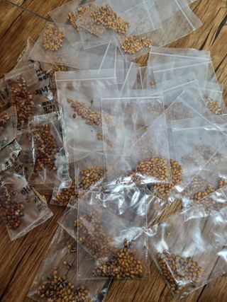 차재경님의 자유주제 · 자유게시판 작성글 사진