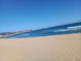 표고버섯18837님의 자유주제 · 자유게시판 작성글 사진