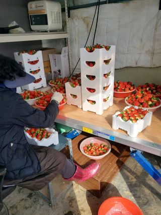 서정훈 님의 자유주제 · 자유게시판 작성글 사진