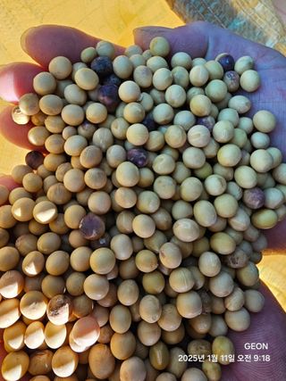 이건님의 작성글 사진