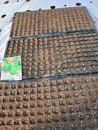 김성식님의 자유주제 · 자유게시판 작성글 사진