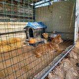 팜모닝 자유주제·자유게시판 게시글 이미지