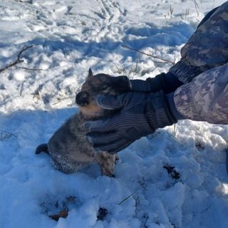 금하농원사과님의 자유주제 · 자유게시판 작성글 사진