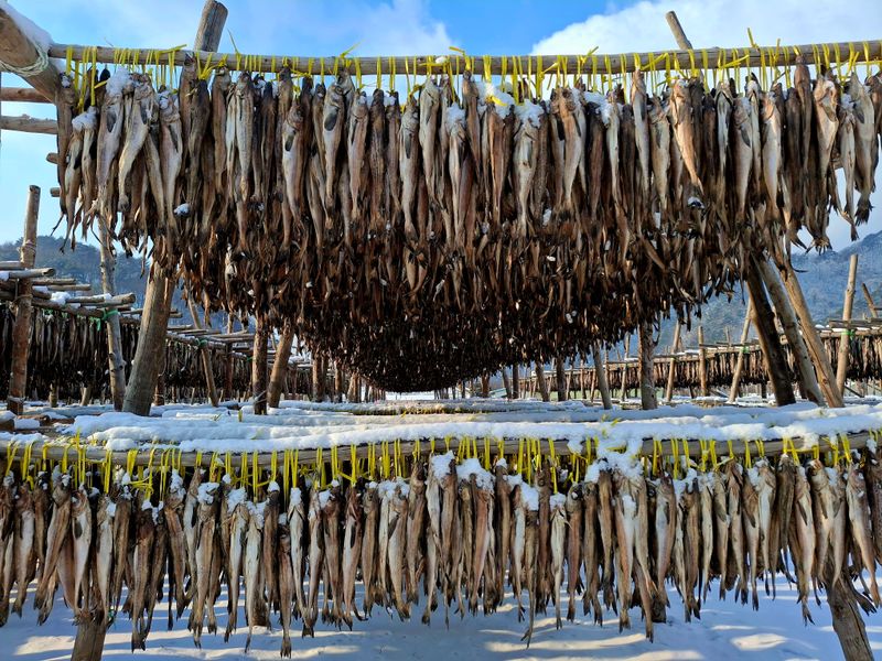 황인근님의 장터 판매 상품 [용대리 황태 선물세트 명작1호] 첨부 사진