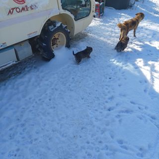 금하농원사과님의 자유주제 · 자유게시판 작성글 사진