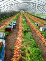 팜모닝 · 게시글 이미지