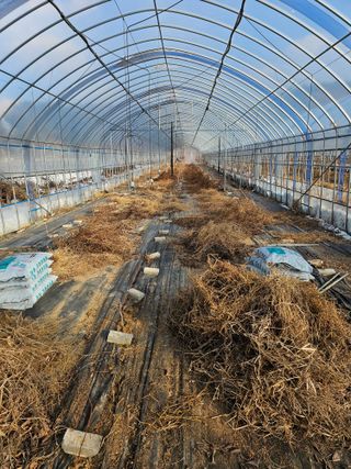 춘천바람개비님의 자유주제 · 자유게시판 작성글 사진