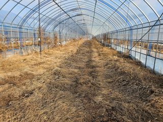 춘천바람개비님의 자유주제 · 자유게시판 작성글 사진