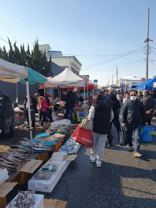 작은소나무님의 자유주제 · 자유게시판 작성글 사진