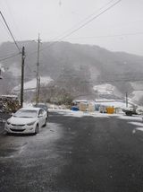 팜모닝 쌀 의무자조금 도입, 어떻게 생각하시나요?·참여글 게시글 이미지