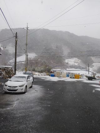 블루베리20476님의 쌀 의무자조금 도입, 어떻게 생각하시나요? · 참여글 작성글 사진