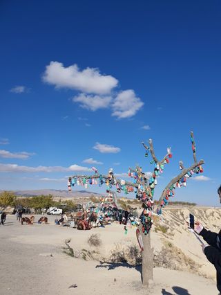 토마토님의 자유주제 · 자유게시판 작성글 사진