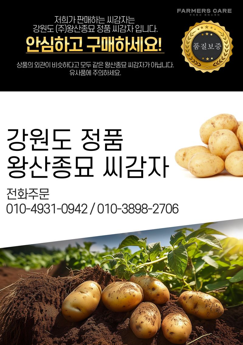 신탄진농약비료마트님의 장터 판매 상품 [[강원도 왕산종묘] 홍감자 씨감자 3kg] 첨부 사진