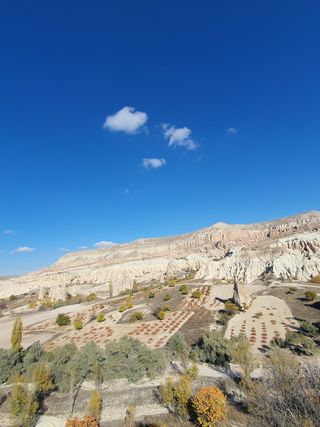 토마토님의 자유주제 · 자유게시판 작성글 사진
