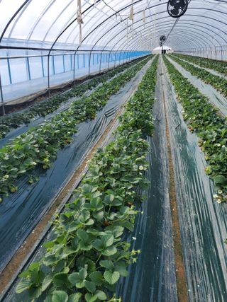 서정훈 님의 자유주제 · 자유게시판 작성글 사진