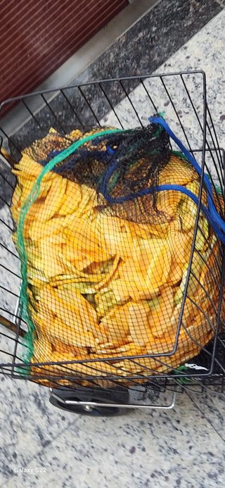 접시꽃님의 팜모닝 신년운세 공유해요☀️ · 참여글 작성글 사진