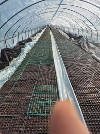 병풍취산채농원님의 자유주제 · 자유게시판 작성글 사진