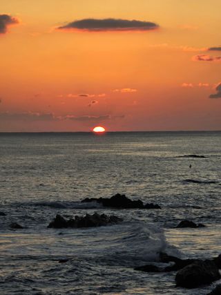 하늘내린양골농원님의 2025년 새해 일출 보셨나요? · 참여글 작성글 사진