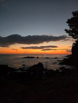 팜모닝 2025년 새해 일출 보셨나요?·참여글 게시글 이미지