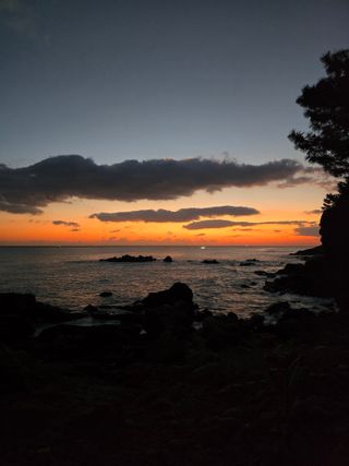 하늘내린양골농원님의 2025년 새해 일출 보셨나요? · 참여글 작성글 사진