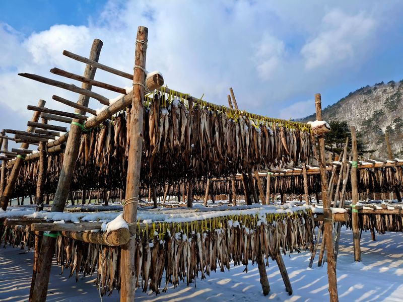 황인근님의 장터 판매 상품 [용대리 황태 선물세트 명작1호] 첨부 사진